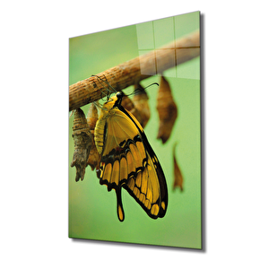 Sarı Kelebek Cam Tablo Yellow Butterfly 36x23 cm