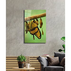 Sarı Kelebek Cam Tablo Yellow Butterfly 36x23 cm