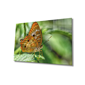 Kelebek Yeşil Cam Tablo 50x70 cm