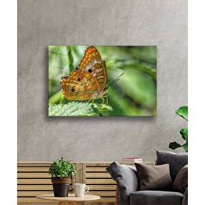 Kelebek Yeşil Cam Tablo 50x70 cm