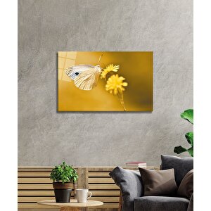 Kelebek Cam Tablo 50x70 cm