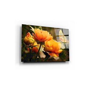 Çiçekler Ve Kelebek Cam Tablo 50x70 cm
