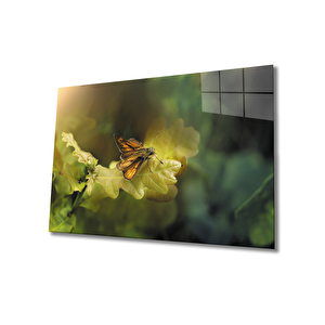 Kelebek Cam Tablo 90x60 cm
