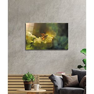 Kelebek Cam Tablo 90x60 cm