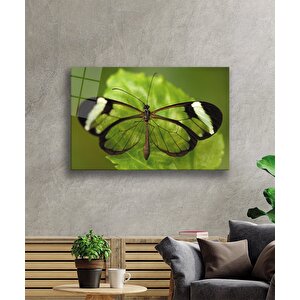 Yeşil Yaprak Kelebek 50x70 cm