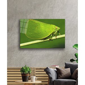 Yeşil Kelebek Green Butterfly 36x23 cm