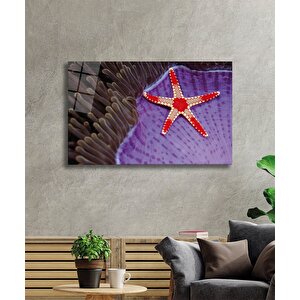 Deniz Yıldızı Cam Tablo Starfish 90x60 cm