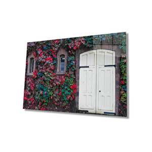 Sarmaşıklı Duvar Ahşap Kapı Cam Tablo 50x70 cm