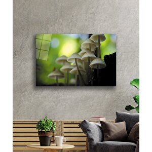Mantar Bitki Yeşil Cam Tablo 110x70 cm
