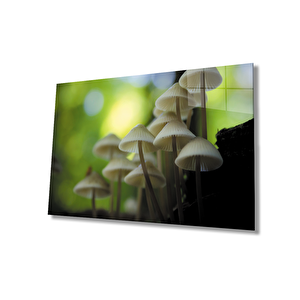 Mantar Bitki Yeşil Cam Tablo 50x70 cm