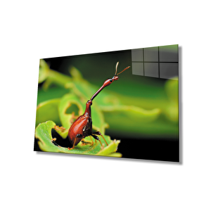 Böcek Yeşil Cam Tablo Insect Green 90x60 cm