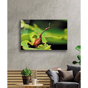 Böcek Yeşil Cam Tablo Insect Green 90x60 cm