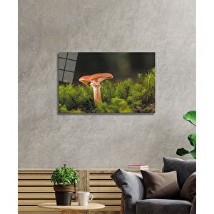 Mantar Cam Tablo 36x23 cm