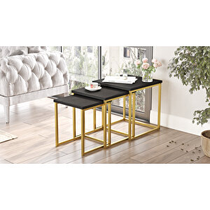 Robin Home Atlantis 3'lü Gold Metal Zigon Sehpa Siyah