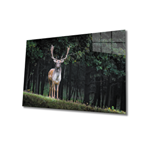Geyik Cam Tablo 36x23 cm