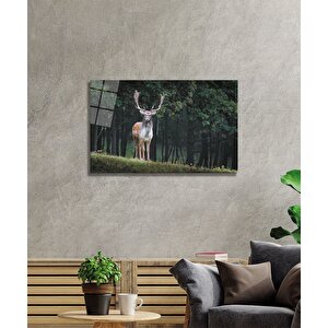Geyik Cam Tablo 36x23 cm