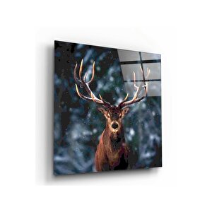 Geyik Cam Tablo 30x30 cm