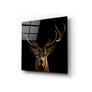 Geyik Cam Tablo 50x50 cm