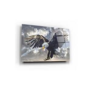 Kartal Cam Tablo 50x70 cm