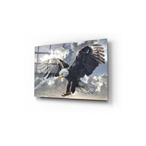 Kartal Cam Tablo 50x70 cm