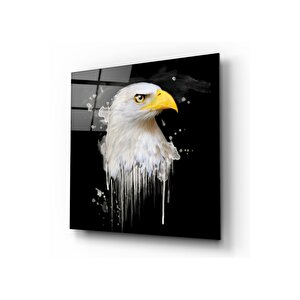 Kartal Cam Tablo 80x80 cm