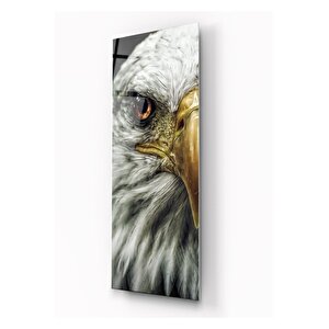 Kartal Tema Cam Tablo 35x90 cm