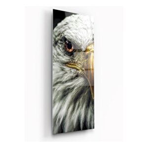 Kartal Tema Cam Tablo 35x90 cm
