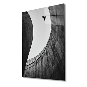 Siyah Beyaz Kartal Cam Tablo 50x70 cm