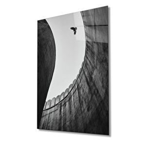 Siyah Beyaz Kartal Cam Tablo 110x70 cm
