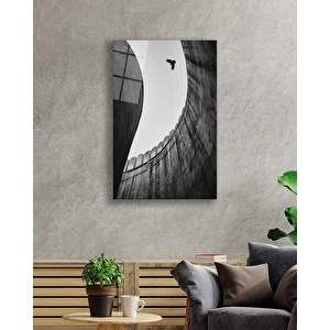 Siyah Beyaz Kartal Cam Tablo 110x70 cm
