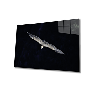 Kartal Cam Tablo 50x70 cm