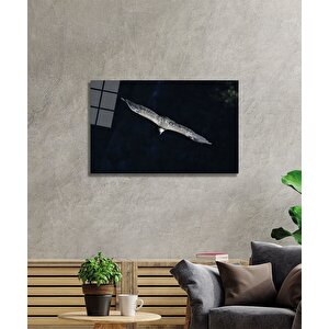 Kartal Cam Tablo 50x70 cm
