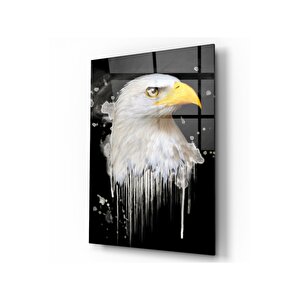 Kartal Cam Tablo 50x70 cm