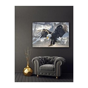 Kartal Cam Tablo 50x70 cm