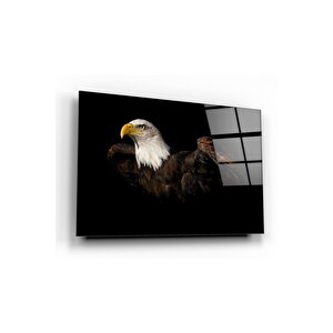 Kartal Cam Tablo 50x70 cm