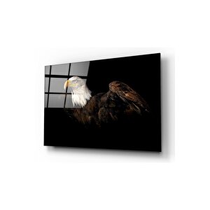 Kartal Cam Tablo 50x70 cm