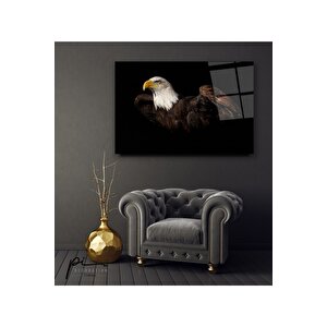 Kartal Cam Tablo 50x70 cm