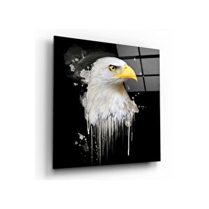 Kartal Cam Tablo 30x30 cm