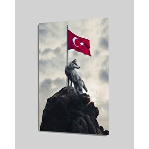 Kurt Ve Türk Bayrağı Cam Tablo 50x70 cm