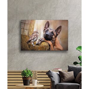 Kuş Ve Köpek Cam Tablo 90x60 cm