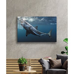 Köpek Balığı Sualtı Cam Tablo 36x23 cm