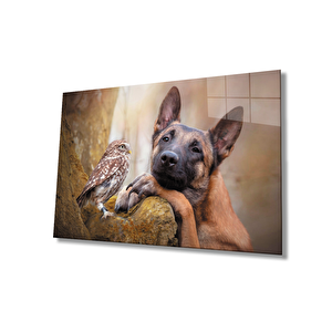 Kuş Ve Köpek Cam Tablo 36x23 cm