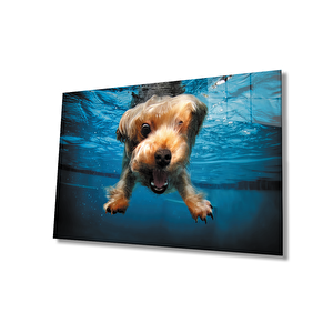 Sualtı Köpek Cam Tablo 36x23 cm