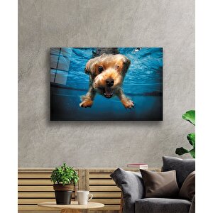 Sualtı Köpek Cam Tablo 36x23 cm
