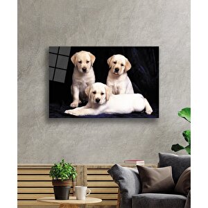 Köpekler 110x70 cm