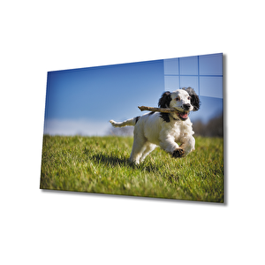 Köpekcam Tablo 36x23 cm