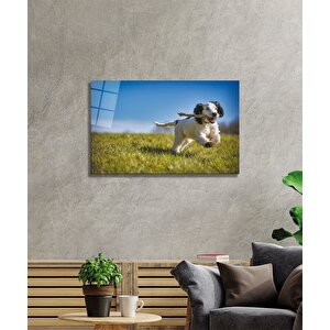 Köpekcam Tablo 36x23 cm