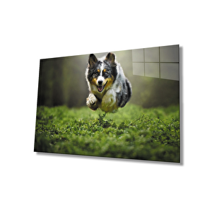 Kurt Köpeği Cam Tablo 36x23 cm