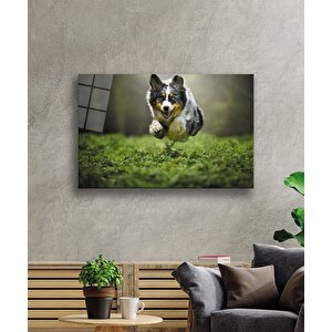 Kurt Köpeği Cam Tablo 36x23 cm