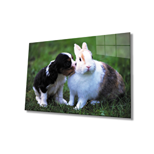 Köpek Ve Tavşan Cam Tablo 36x23 cm